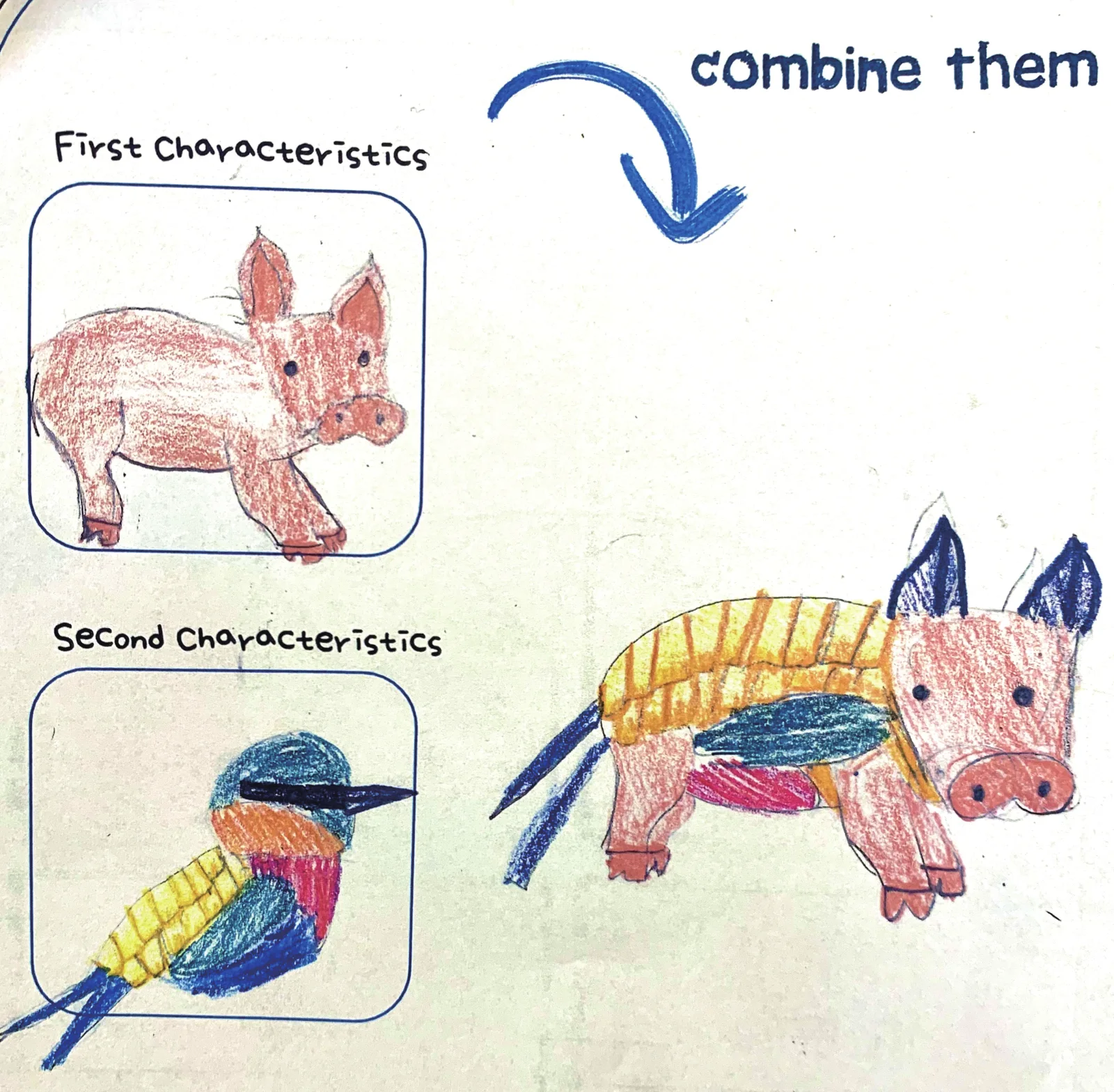 Worksheet with a pig under First Characteristics, a bird under Second Characteristics, and a character combining both next to a combine them arrow