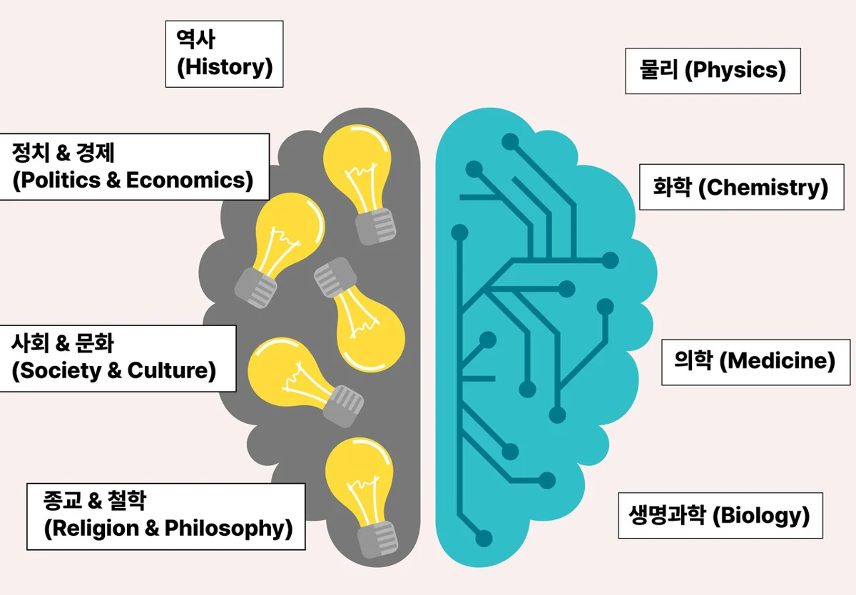 Topic map drawn as a brain, with history, politics and economics, society and culture, and religion and philosophy on the left, and physics, chemistry, medicine, and life science on the right