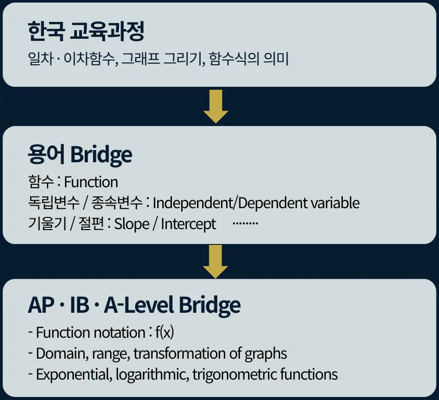 Chart with arrows from top to bottom: Korean curriculum (linear and quadratic functions, drawing graphs, what a function rule means), Term Bridge (Function, Independent/Dependent variable, Slope/Intercept), and AP·IB·A-Level Bridge (Function notation f(x), Domain·range·transformation of graphs, Exponential·logarithmic·trigonometric functions)