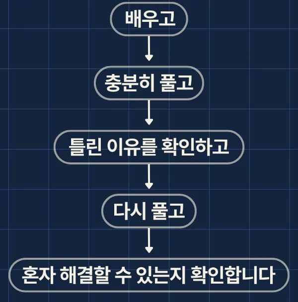 Flowchart linking five steps with arrows: learn, solve plenty of problems, find why it went wrong, solve again, and check whether they can solve it alone